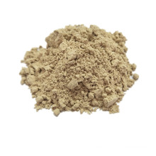 Condimento seco en polvo de champiñón deshidratado de calidad superior en polvo